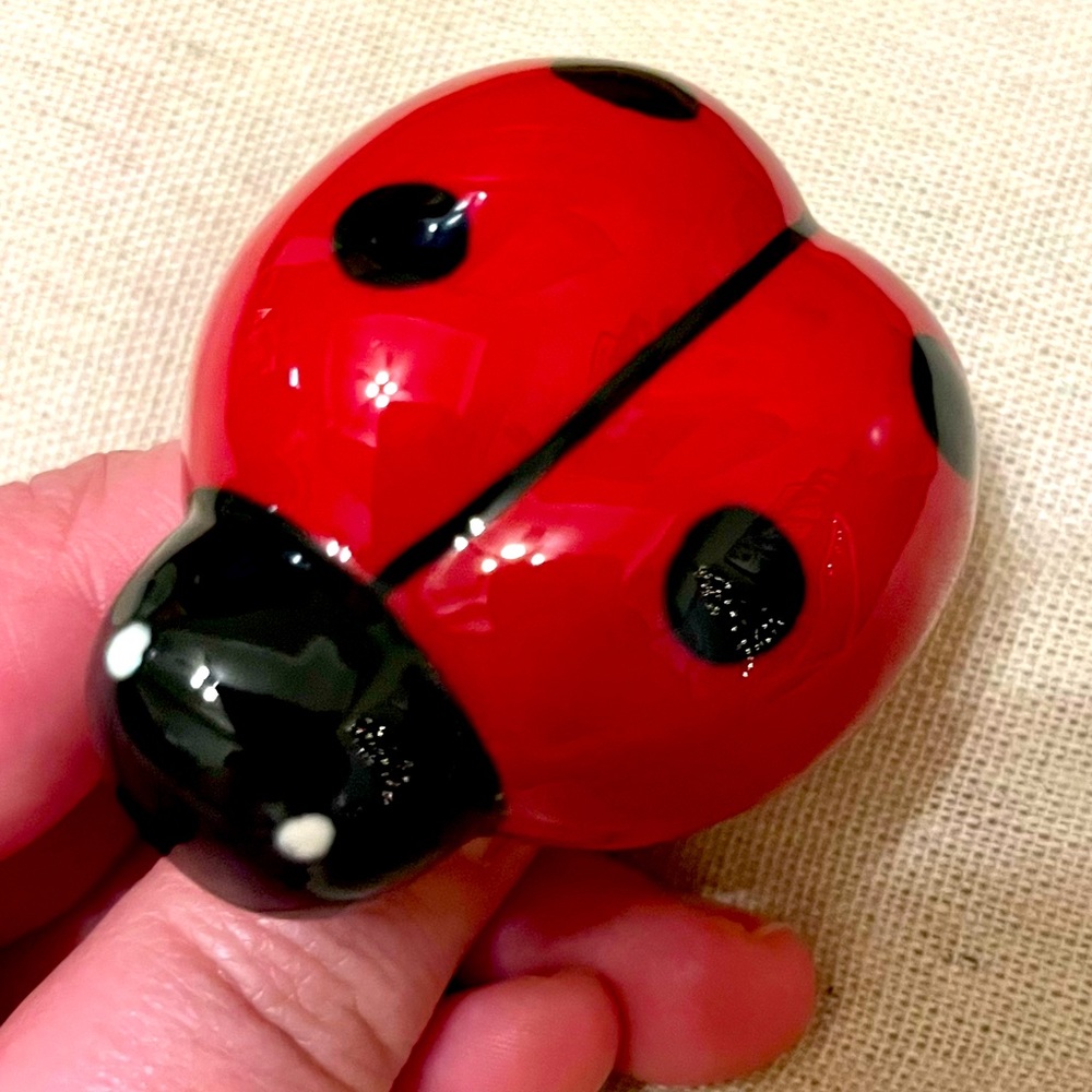 🐞 Nora Fleming Mini - Lil’ Ladybug